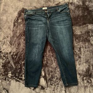2/20 or 3 for 24 Molly Isorda size 24 jeans